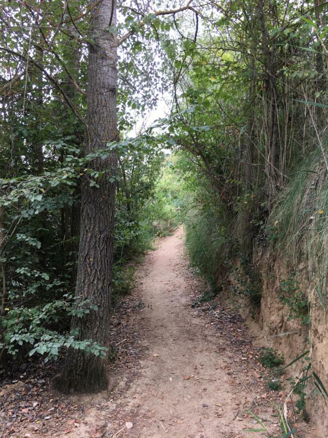 Alto De La Reserva Castronuno Екстер'єр фото